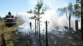 В Забайкалье установили троих нарушителей особого противопожарного режима В Забайкалье установили троих нарушителей особого противопожарного режима