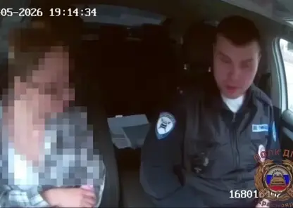 Красноярскую автолюбительницу задержали за оскорбление сотрудников ДПС в интернете