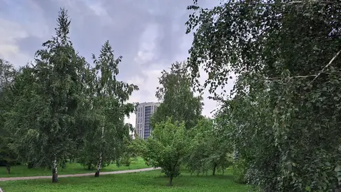 Дождь и +6. Прогноз погоды на 17 сентября в Красноярске