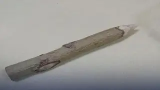 Жительница Омска пришла в суд с осиновым колом