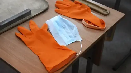 Гепатит А нашли у четвероклассника в новосибирской школе