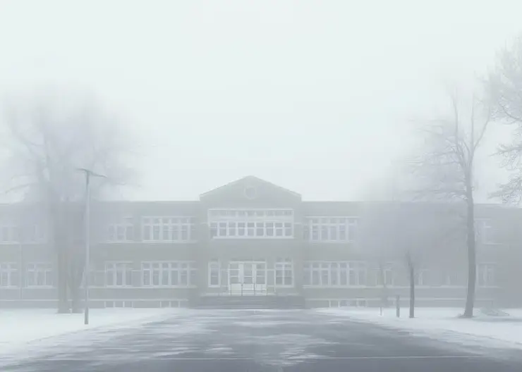 Недовольные учебой в метель сибирские школьники пожаловались Мизулиной