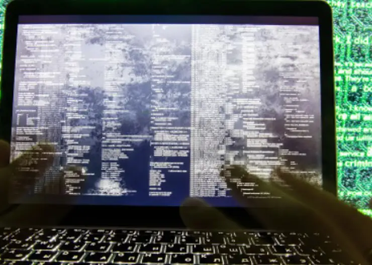 В Красноярске прокуратура пресекла игорную деятельность в интернете