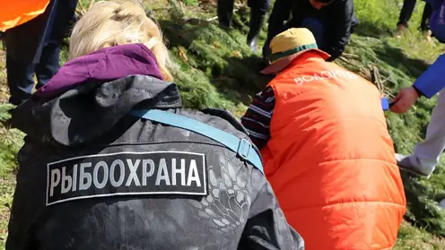 Эн+ установила искусственные нерестилища на Красноярском водохранилище