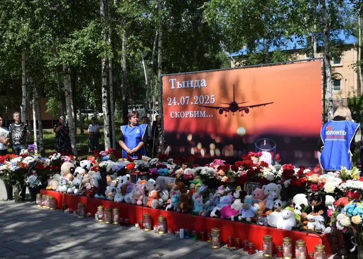 В Тынде появился стихийный мемориал в память о жертвах крушения самолета Ан-24