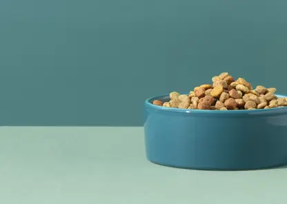 «Алиэкспресс» заплатит норильчанке двойную цену за недоставленный корм для животных