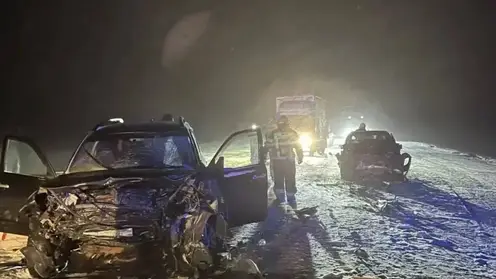 В аварии в Новосибирской области погибли мужчина и подросток