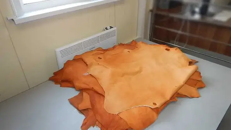 Незаконную партию овечьих шкур задержали на таможне в Алтае