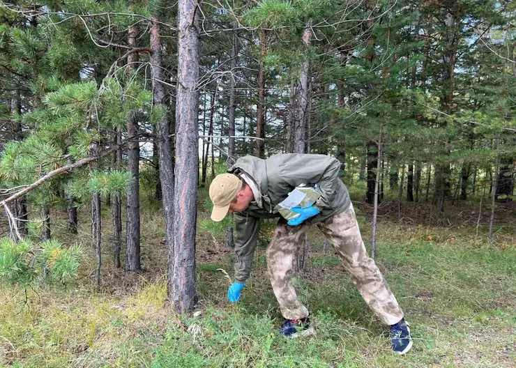 В Бурятии приступили к вакцинации диких животных