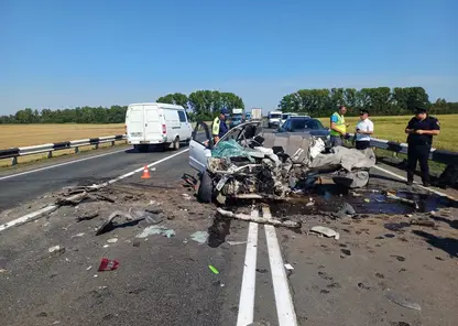 Водитель выехал на встречку и устроил смертельное ДТП в Канском районе края