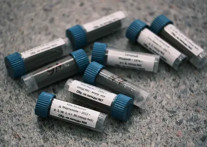 Красноярские учёные выяснили, чем питались древние жители Сибири 8 тысяч лет назад