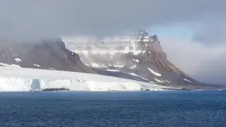 В Красноярске создали экологичные стройматериалы из опилок для арктического строительства
