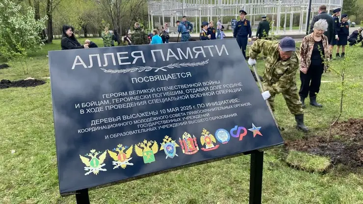 На берегу озеро-парка «Октябрьский» появилась Аллея Памяти — высажены десятки деревьев