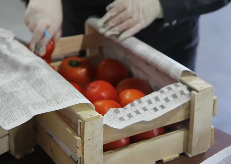 В Красноярске в томатах из Китая найден опасный южноамериканский вредитель