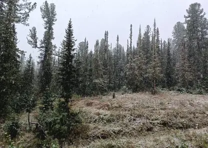 Фрирайдеры досрочно открыли горнолыжный сезон в «Ергаках»