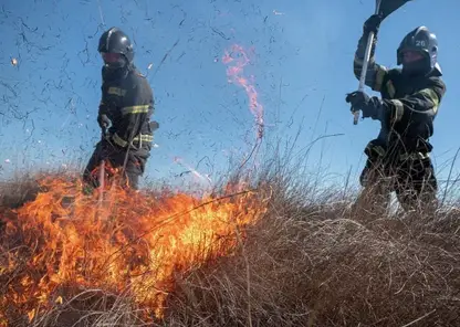 Жителям Красноярского края напомнили, как правильно сжигать сухую траву