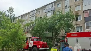 За сутки в Красноярском крае ликвидировали 6 пожаров: пострадавших и погибших нет