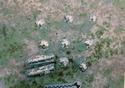 В Красноярске двое мужчин пытались продать иностранцам 2 кг ртути