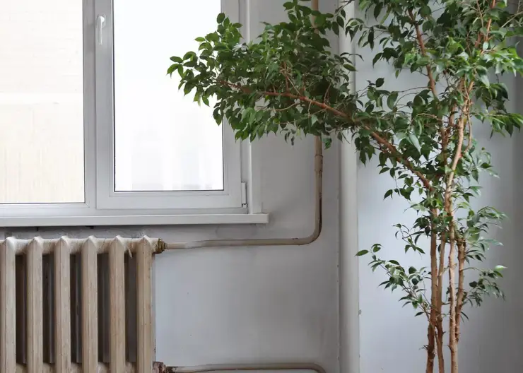 В Красноярске с 10 этажа выпала 12-летняя девочка