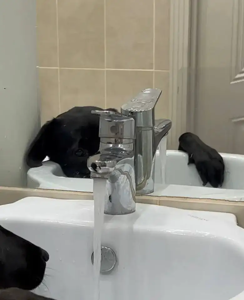 Фото: sibnovosti.ru