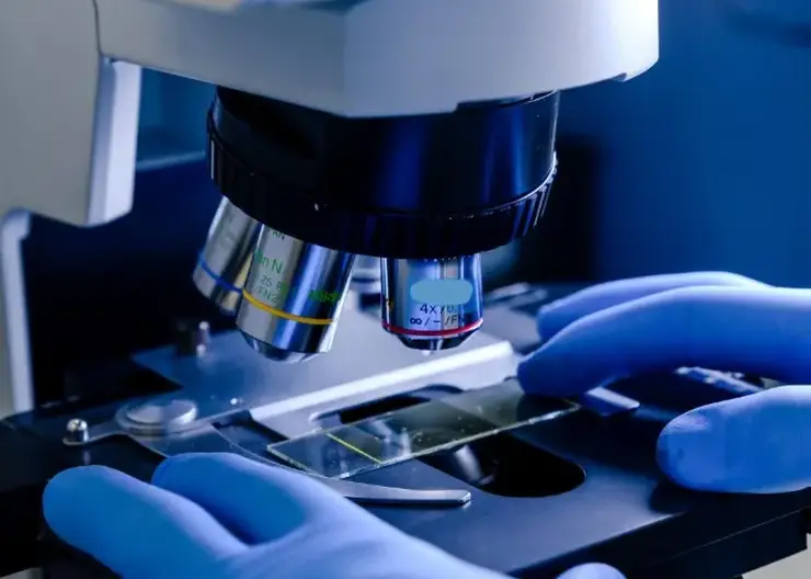 Затраты на научные исследования в Красноярском крае составили 42,5 млрд рублей