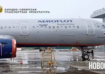 Самолет с 177 пассажирами на борту выкатился за пределы взлетно-посадочной полосы в Кемеровской области