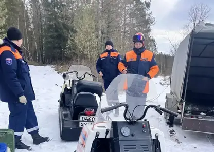 Красноярские спасатели за три дня обследовали более 120 км местности в поисках семьи Усольцевых