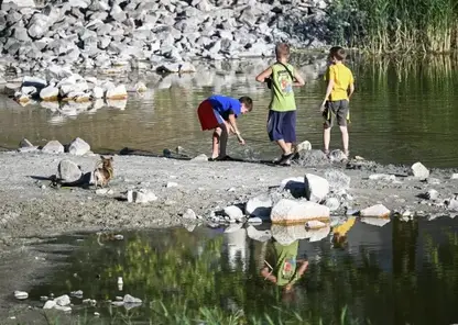 Штраф за нахождение детей на водоемах без присмотра ввели в Омской области