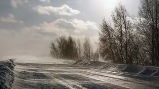 На юге Таймыра будет дуть ветер до 26 м/с