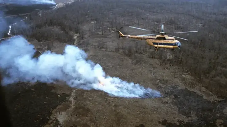Лесных арендаторов в Забайкалье, отказавшихся тушить пожары, будут лишать лицензий