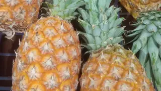 В красноярских ананасах из Китая обнаружен опасный вредитель В красноярских ананасах из Китая обнаружен опасный вредитель