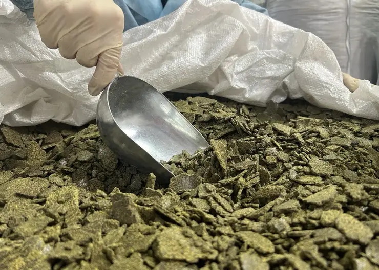 Из Красноярского края в Китай отправили больше пяти тысяч тонн рапсового жмыха