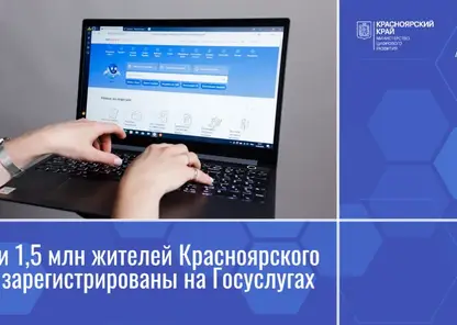 Жители Красноярского края все больше предпочитают заказывать госуслуги онлайн