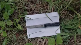 В Дивногорске следователи нашли нож на месте убийства 16-летней девушки