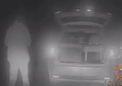 Пакет марихуаны и две утки: веселого водителя остановили на трассе Красноярского края