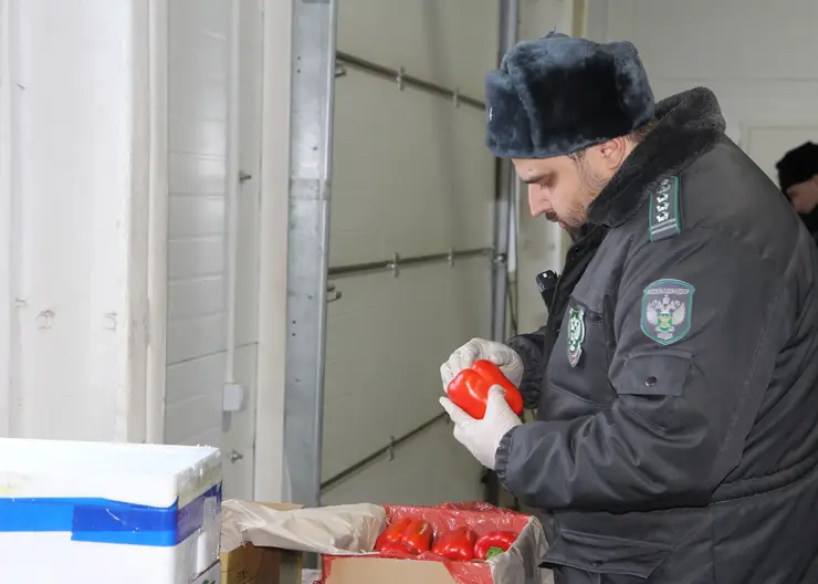 Около 360 тонн импортных овощей и фруктов привезли в Красноярский край в новогодние праздники