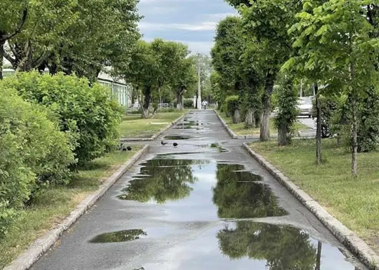 В Красноярске благоустроят ещё несколько участков Вавиловского пешеходного кольца