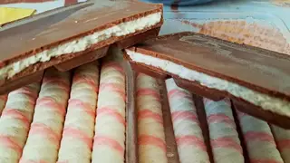 Красноярские учёные раскрыли главные секреты какао и шоколада