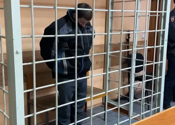 Жителю Канска, жена которого убила троих детей топором, вынесли приговор за избиения