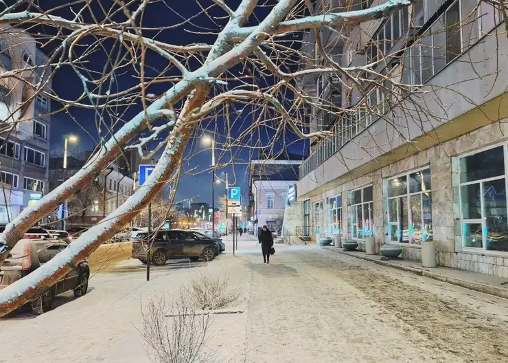 В Красноярском крае мороз забрал жизни троих человек