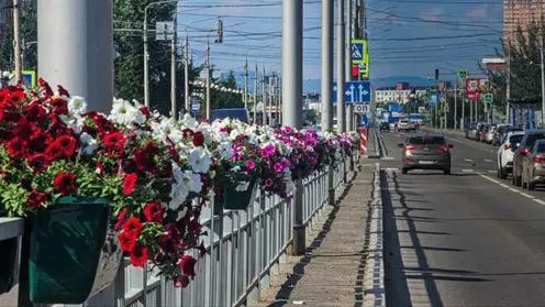 Новые цветочные композиции появятся на улицах Красноярска к осени