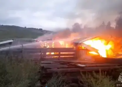 В Красноярском крае за сутки потушили 21 пожар и спасли 22 человека