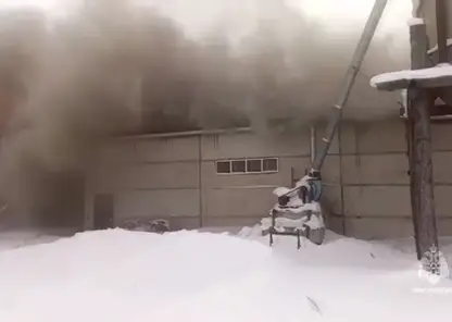 Деревообрабатывающий цех загорелся на площади 1200 квадратов в Красноярском крае (видео)