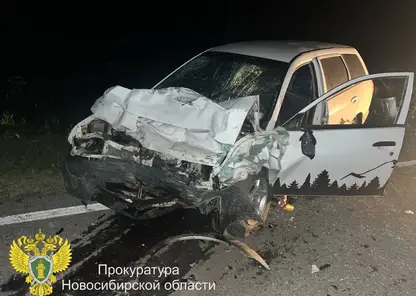 Страшная авария в Новосибирской области унесла жизни двух подростков