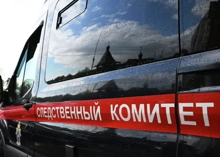 17-летнюю жительницу Барнаула подозревают в убийстве своего новорожденного ребёнка