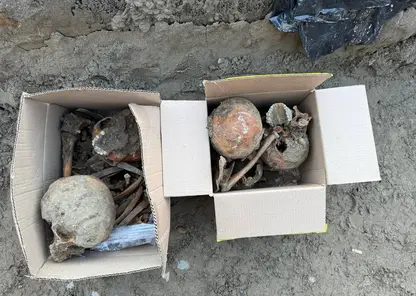 Археологи нашли массовое захоронение в историческом центре Красноярска