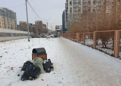 В Красноярске жители Преображенского попросили администрацию избавить их от крыс