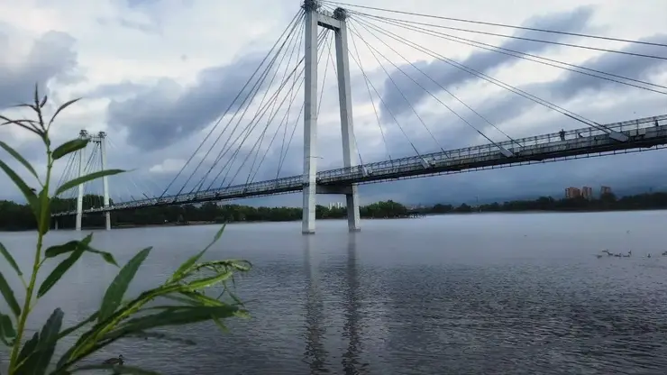 Осень пришла в Красноярск на месяц раньше: 6 августа ожидается прохлада и дождь