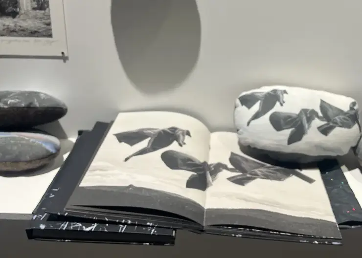 В Красноярске открылась ярмарка современного искусства SCAN FAIR