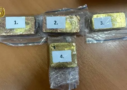 Иностранец получил штраф за попытку контрабанды крупной партии золота в Забайкалье